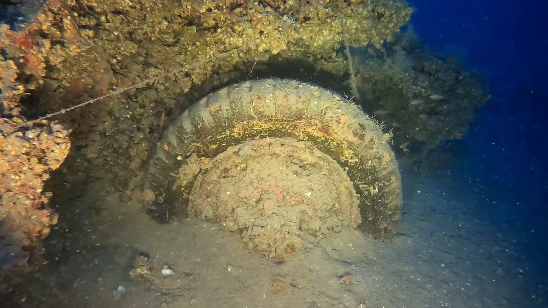 Αιγαίο: Εντοπίστηκε πλοίο που είχαν χαθεί τα ίχνη του εδώ και μισό αιώνα (εικόνες)-3