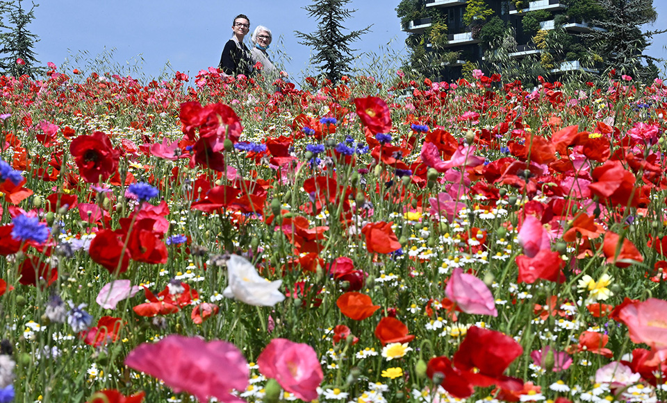 Βιβλιοθήκη