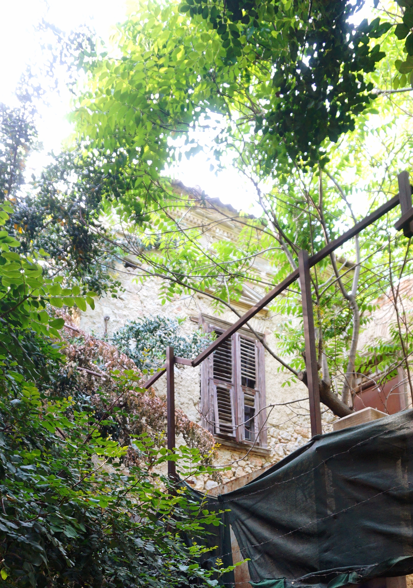 απόκοσμη-ψευδαίσθηση-στα-εξάρχεια-561871666