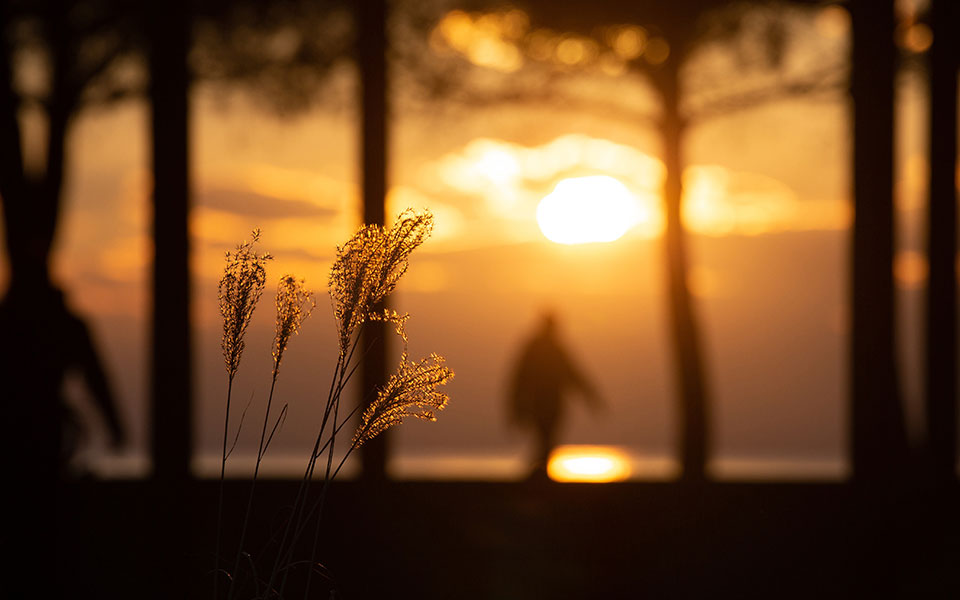 καιρός-σήμερα-ηλιοφάνεια-σχεδόν-σε-όλ-561871852