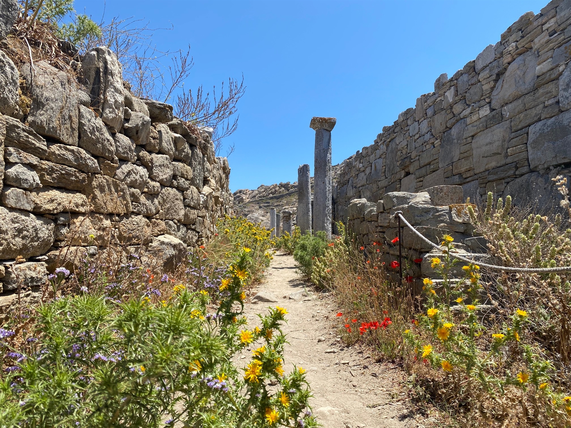 Το μαγικό κοντσέρτο στη Δήλο εξέπεμψε χθες βράδυ σήμα σε όλη την ανθρωπότητα-2