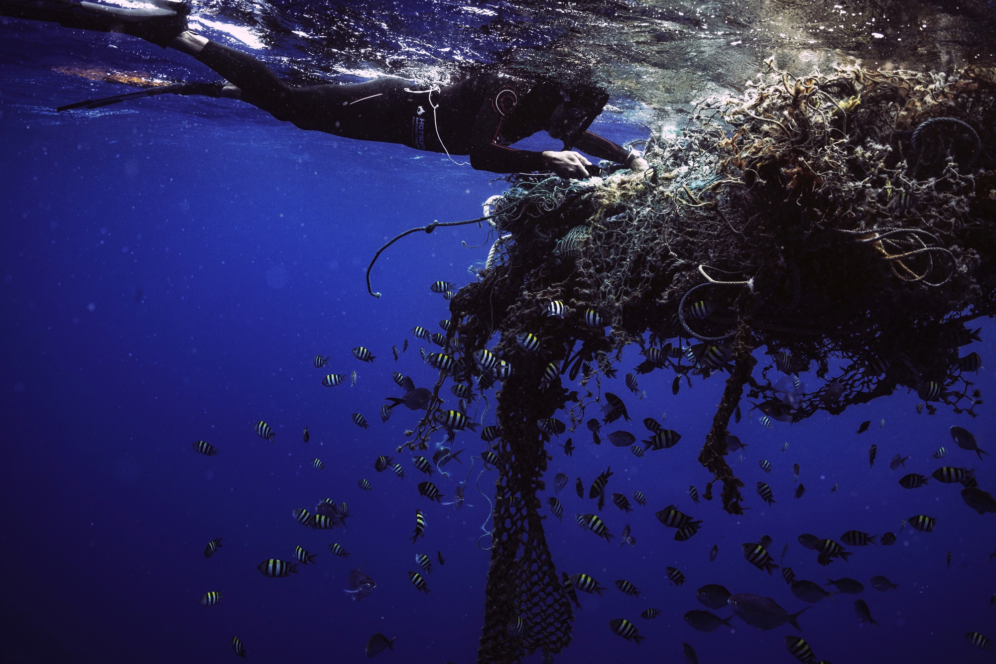 ένας-βιότοπος-ανάμεσα-σε-χιλιάδες-τό-561858910