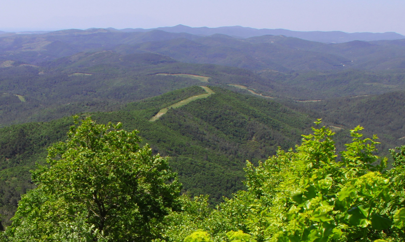 επέτειος-προσφοράς-στην-προστασία-το-561870148
