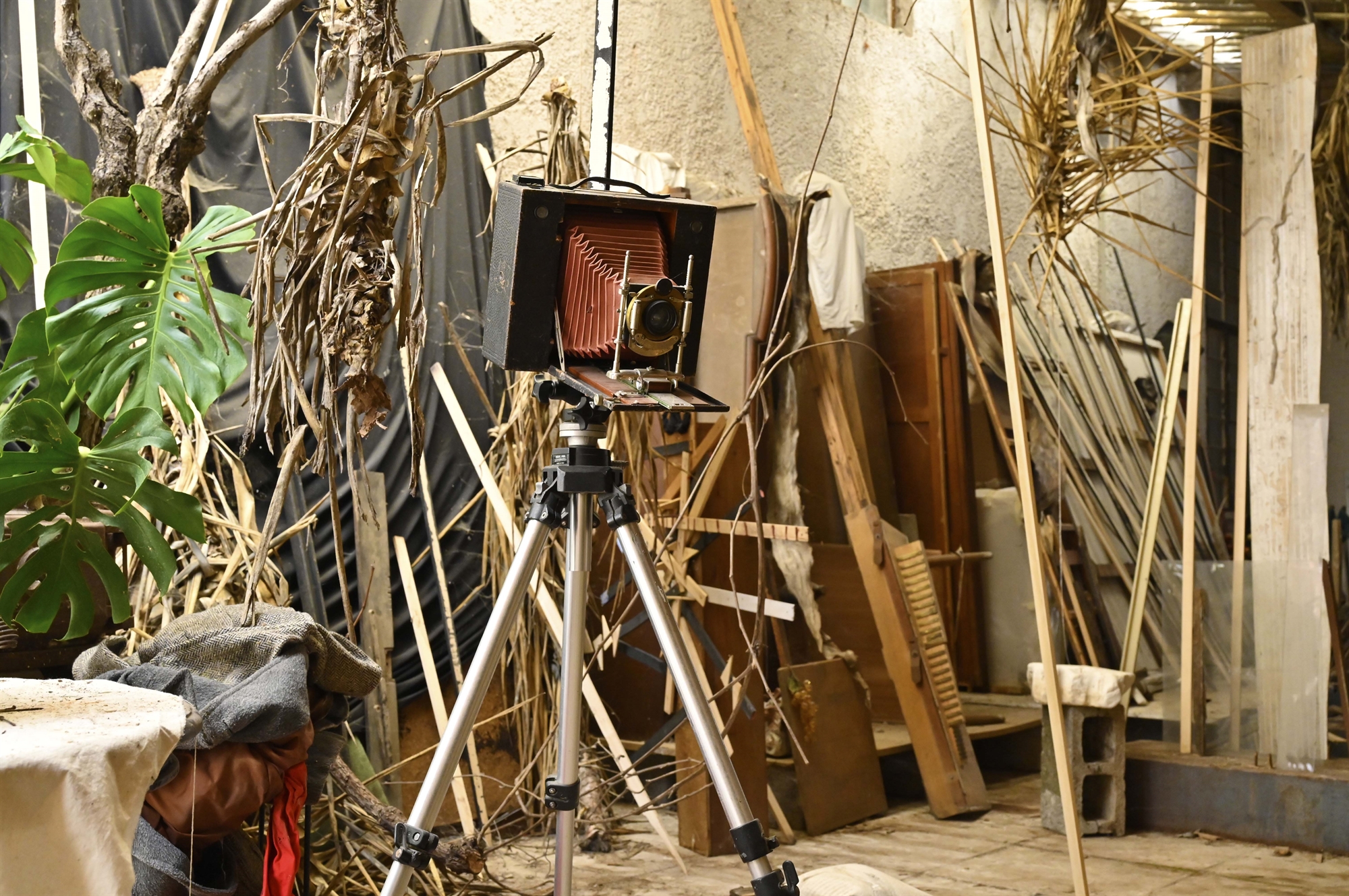 Ο «Αμαζόνιος» βρίσκεται στο Μαρούσι-5