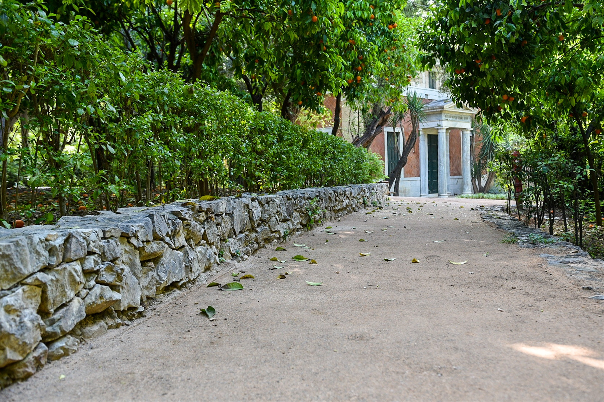 εθνικός-κήπος-νέα-δέντρα-και-υποδομές-561862606