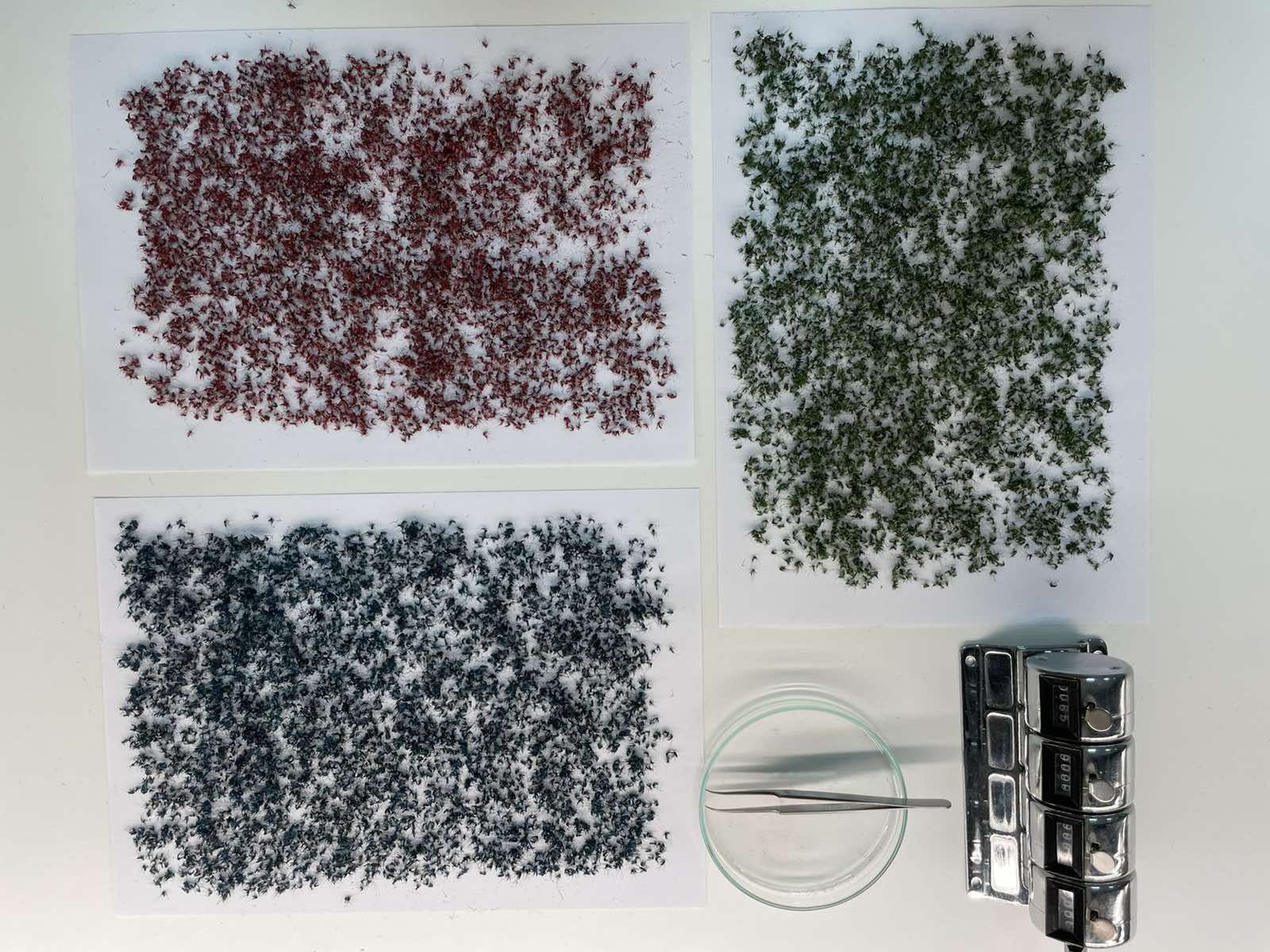 ο-στρατός-στείρων-κουνουπιών-και-τα-561882751