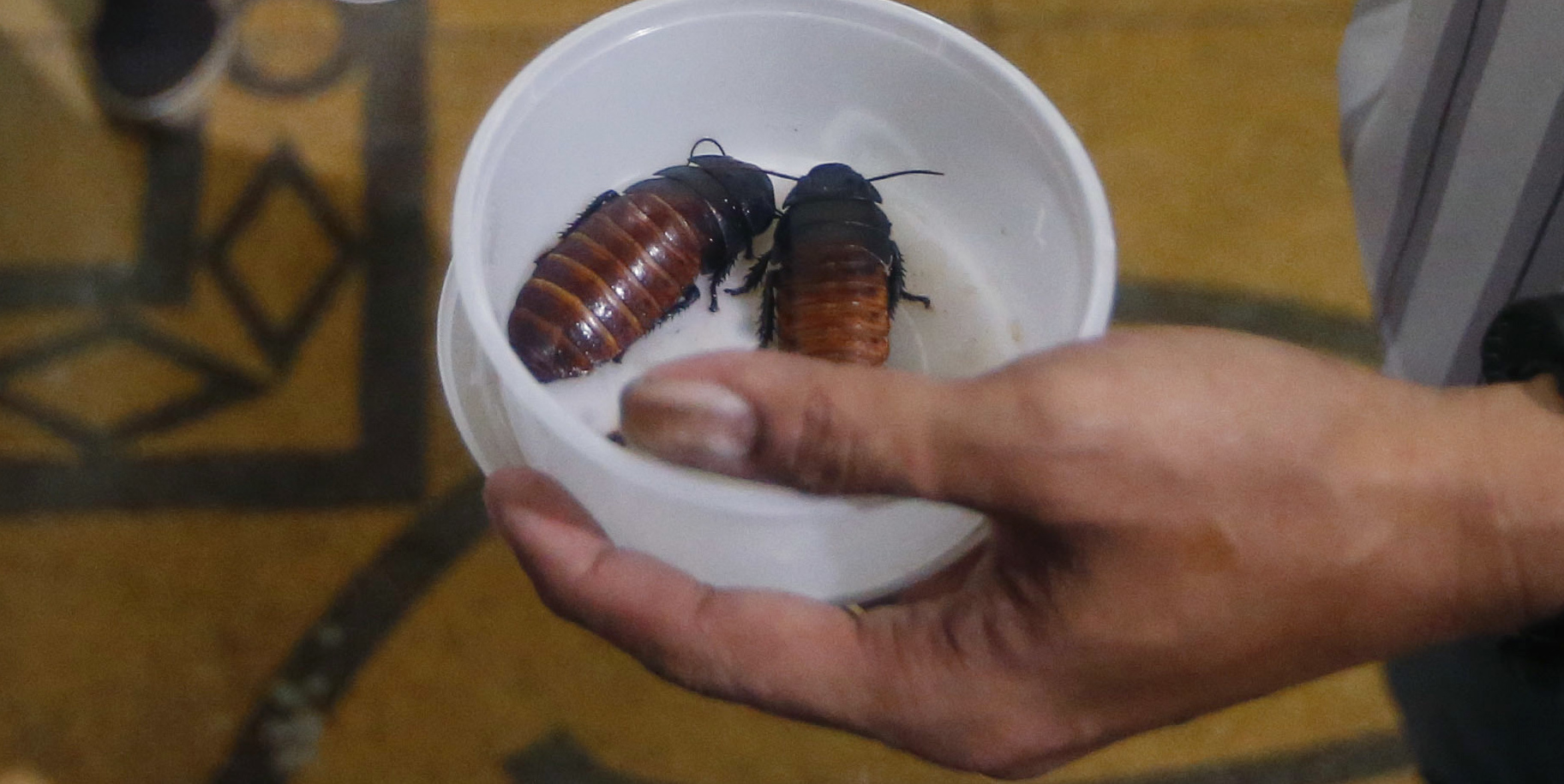 παράξενα-νέα-από-την-αλλαγή-τάσης-στην-561881830