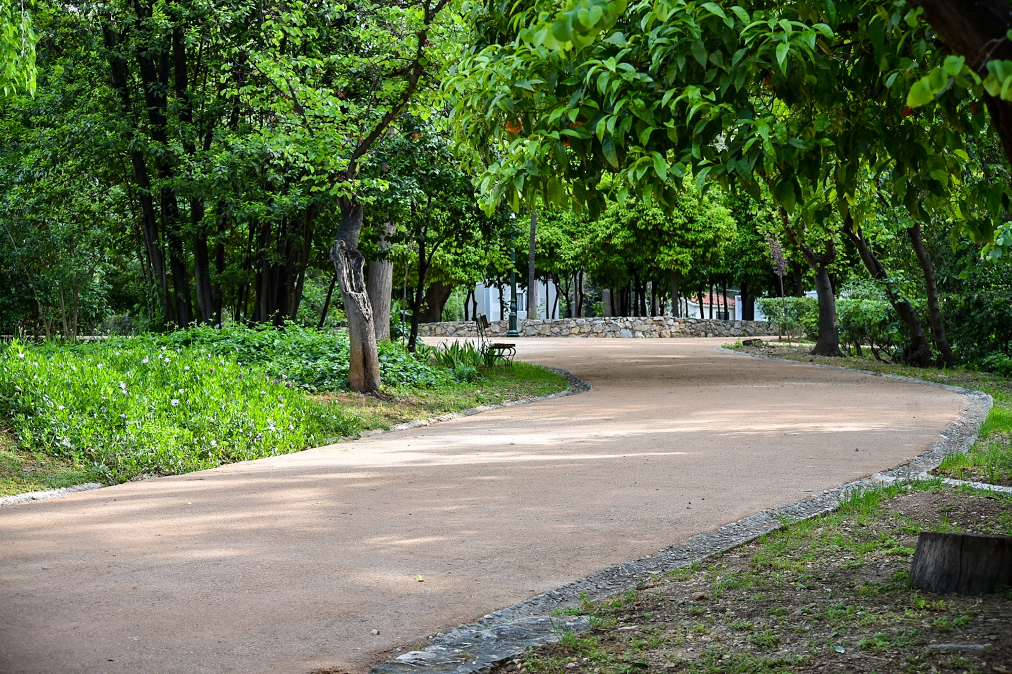 Εθνικός Κήπος: Νέα δέντρα και υποδομές-2