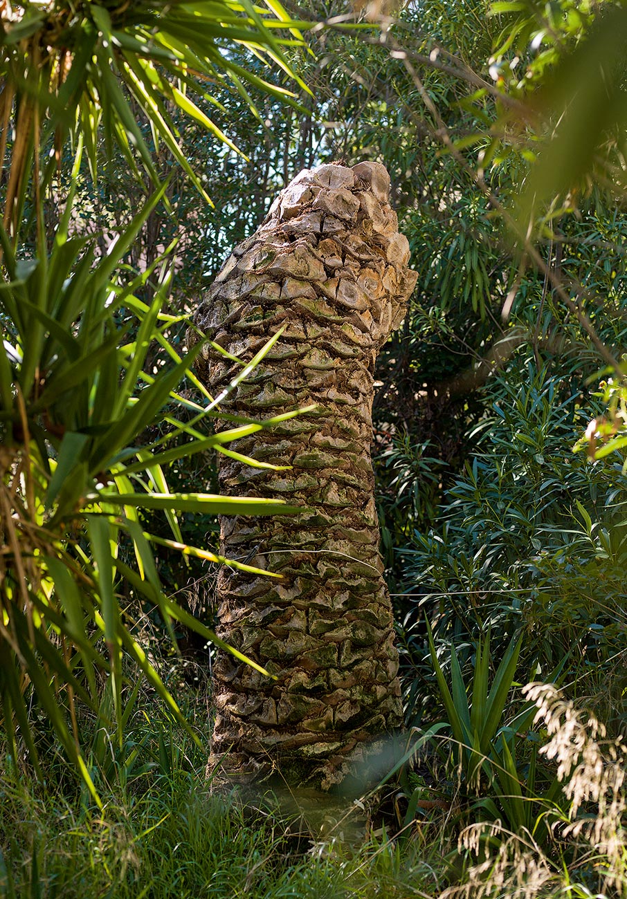 «Αμαζόνιος»: μια έκθεση- έκπληξη στο σπίτι-ατελιέ του Νίκου Κεσσανλή και της Χρύσας Ρωμανού-5