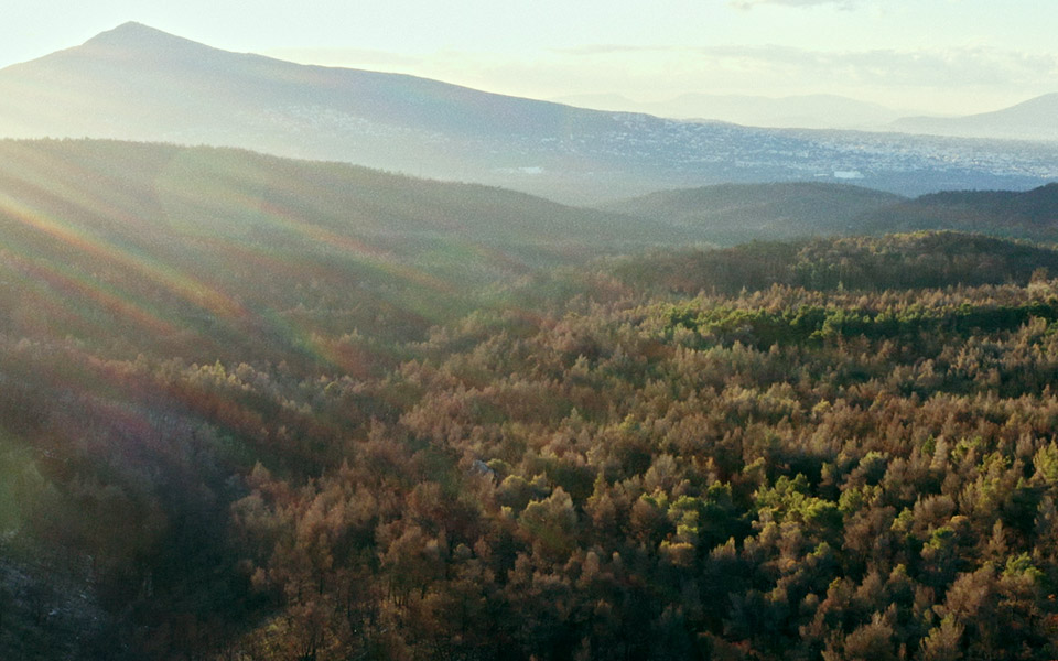 θωράκιση-για-τη-φυσική-αναγέννηση-του-561840637