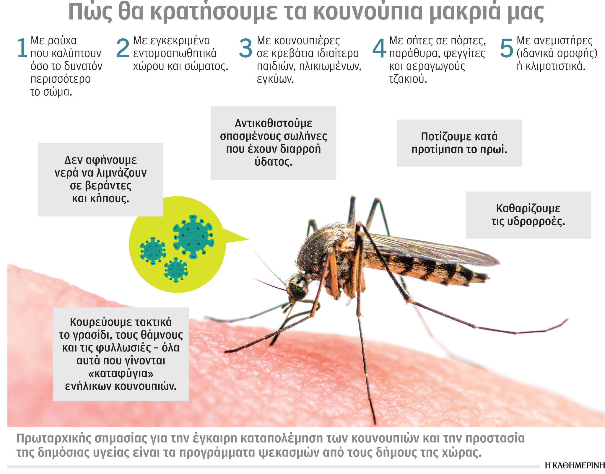 Zika: Ο ύπουλος «ιός των κουνουπιών» επιστρέφει-1