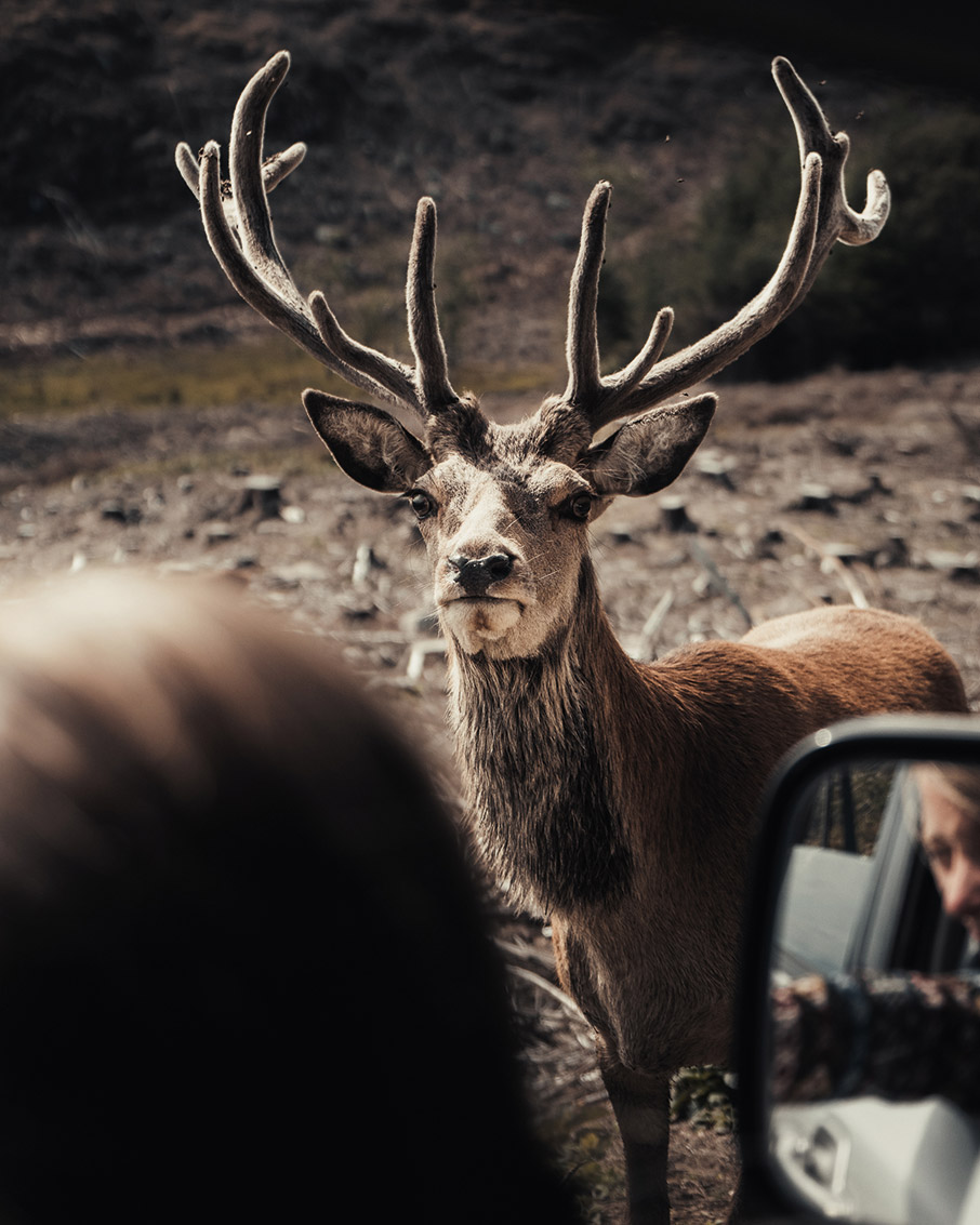 O γύρος της Βρετανίας, με ένα ιστορικό αυτοκίνητο του 1936-2