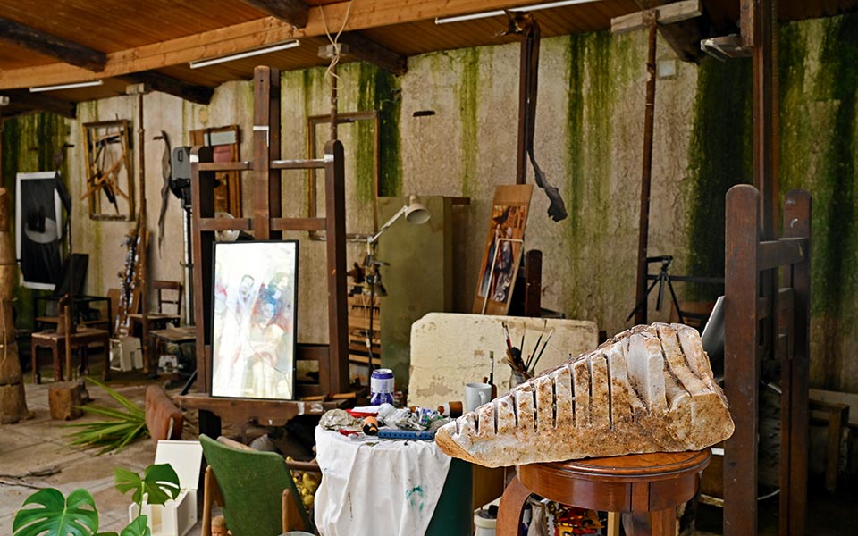 αμαζόνιος-μια-έκθεση-έκπληξη-στο-σπ-561838093