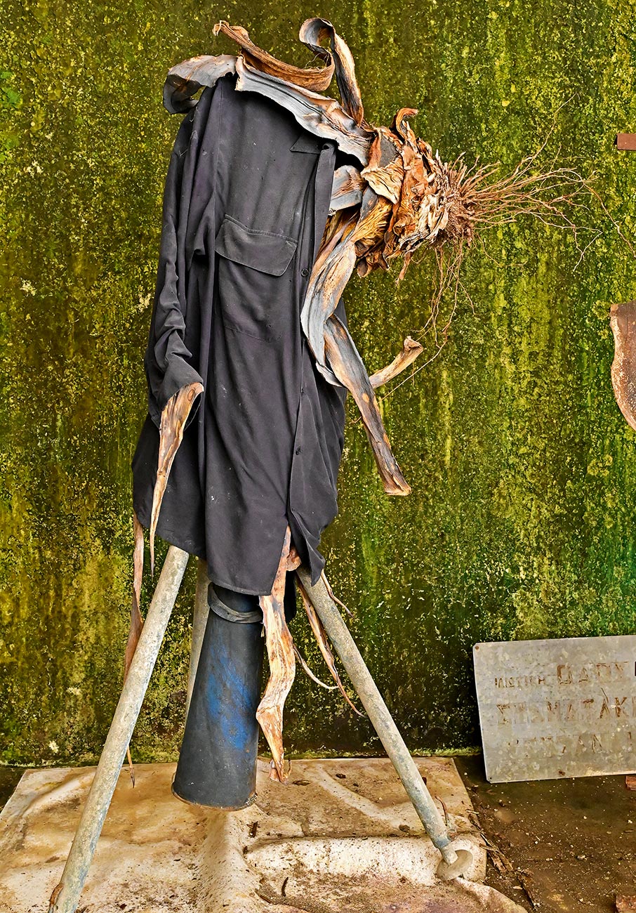 «Αμαζόνιος»: μια έκθεση- έκπληξη στο σπίτι-ατελιέ του Νίκου Κεσσανλή και της Χρύσας Ρωμανού-1