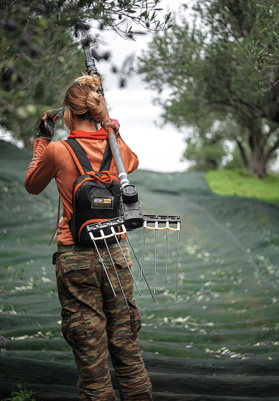 Ελαιόλαδο με συνταγή γιατρού-3