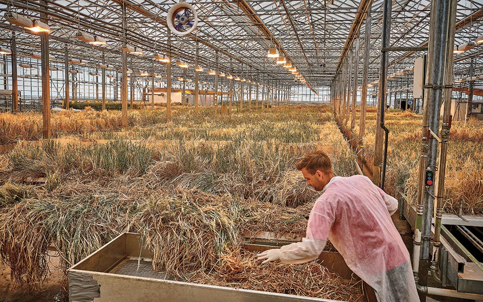 Zero Waste: Mπορεί η ιδέα να γίνει πραγματικότητα;-6