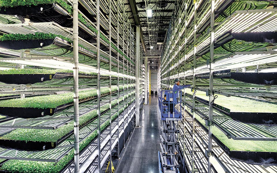 Zero Waste: Mπορεί η ιδέα να γίνει πραγματικότητα;-4