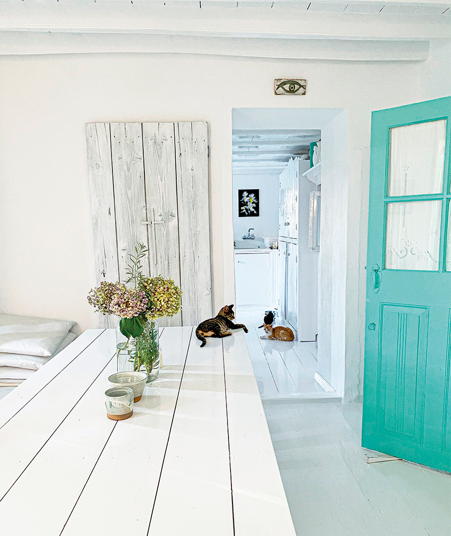 Γιατί η Λέσβος έγινε σπίτι μας-5