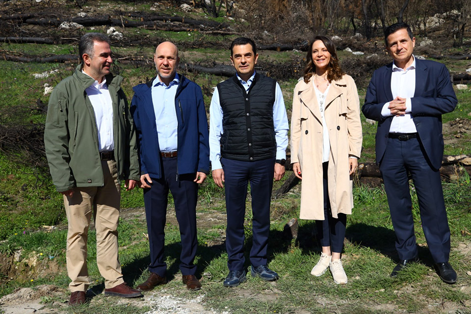 Θωράκιση για τη φυσική αναγέννηση του δάσους-4