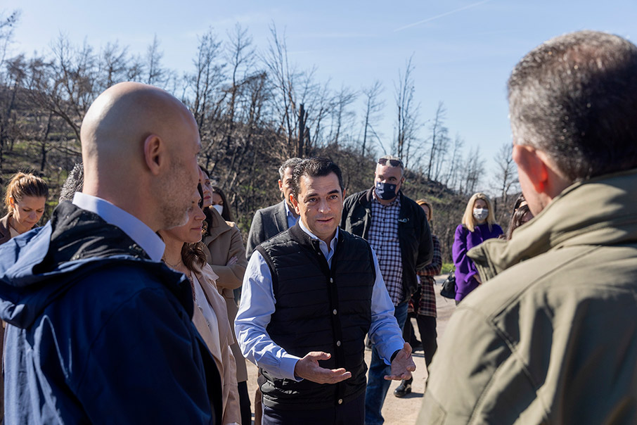 Θωράκιση για τη φυσική αναγέννηση του δάσους-2
