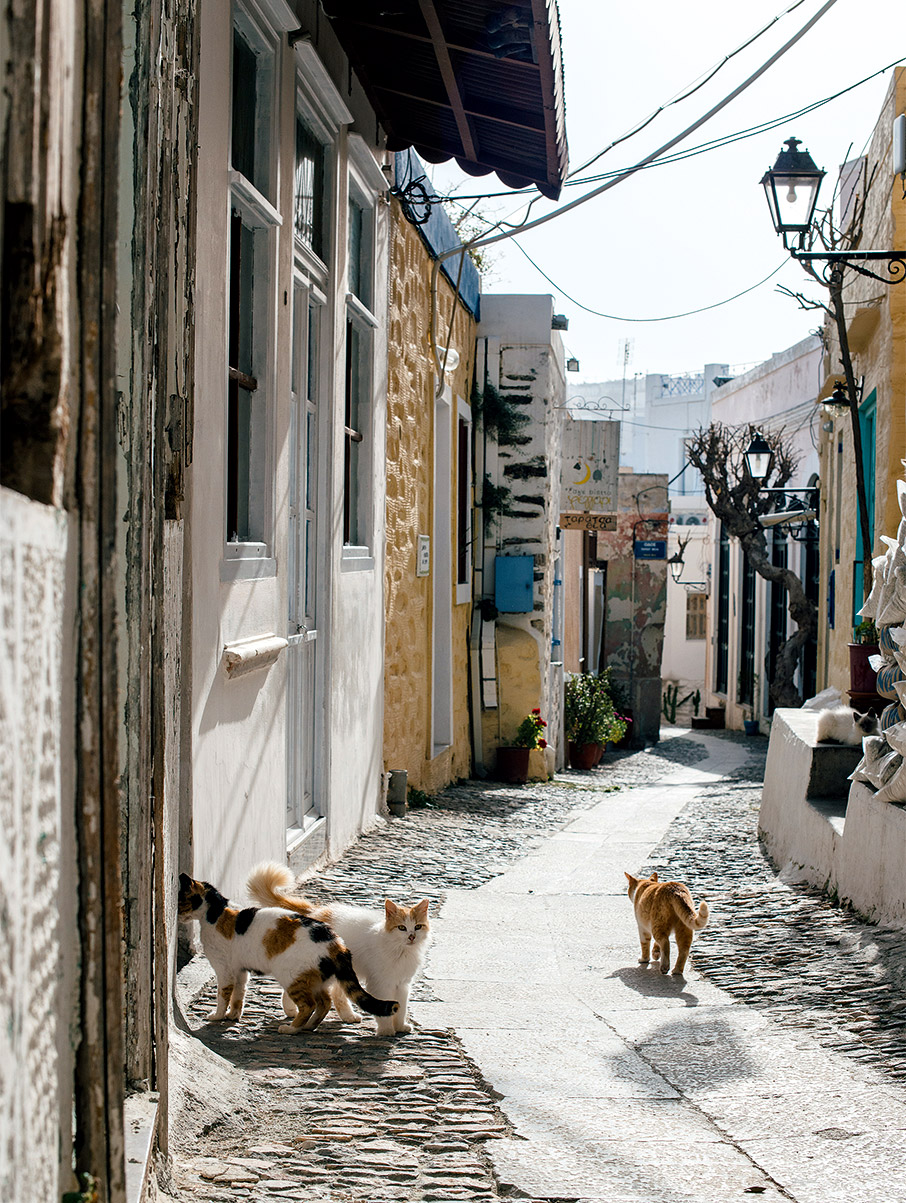 Όσα μας έμαθε η Σύρος-2