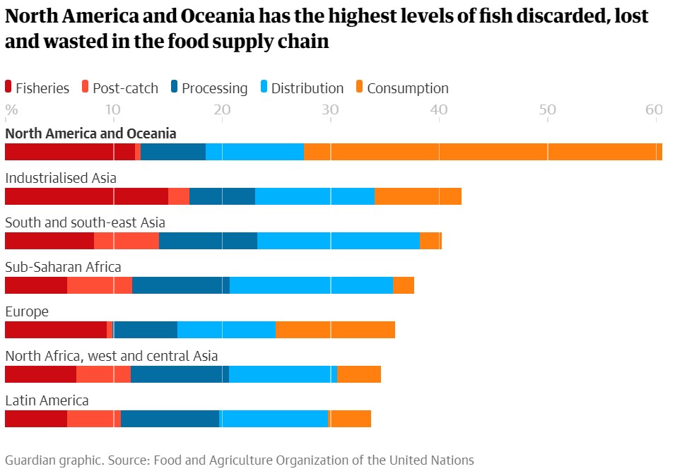 Εκατομμύρια τόνοι νεκρών ψαριών: Το σκάνδαλο της σπατάλης τροφίμων-1