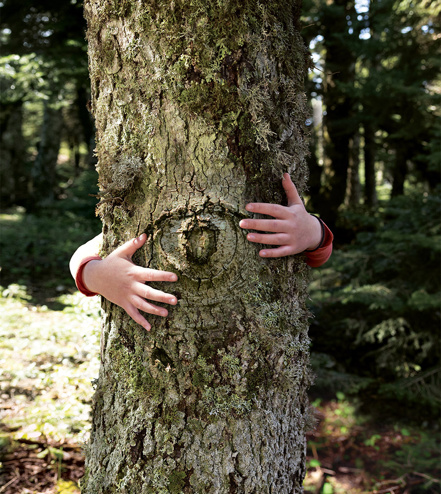 Η Vodafone παρουσιάζει το πρώτο «έξυπνο» δάσος στην Ελλάδα-1