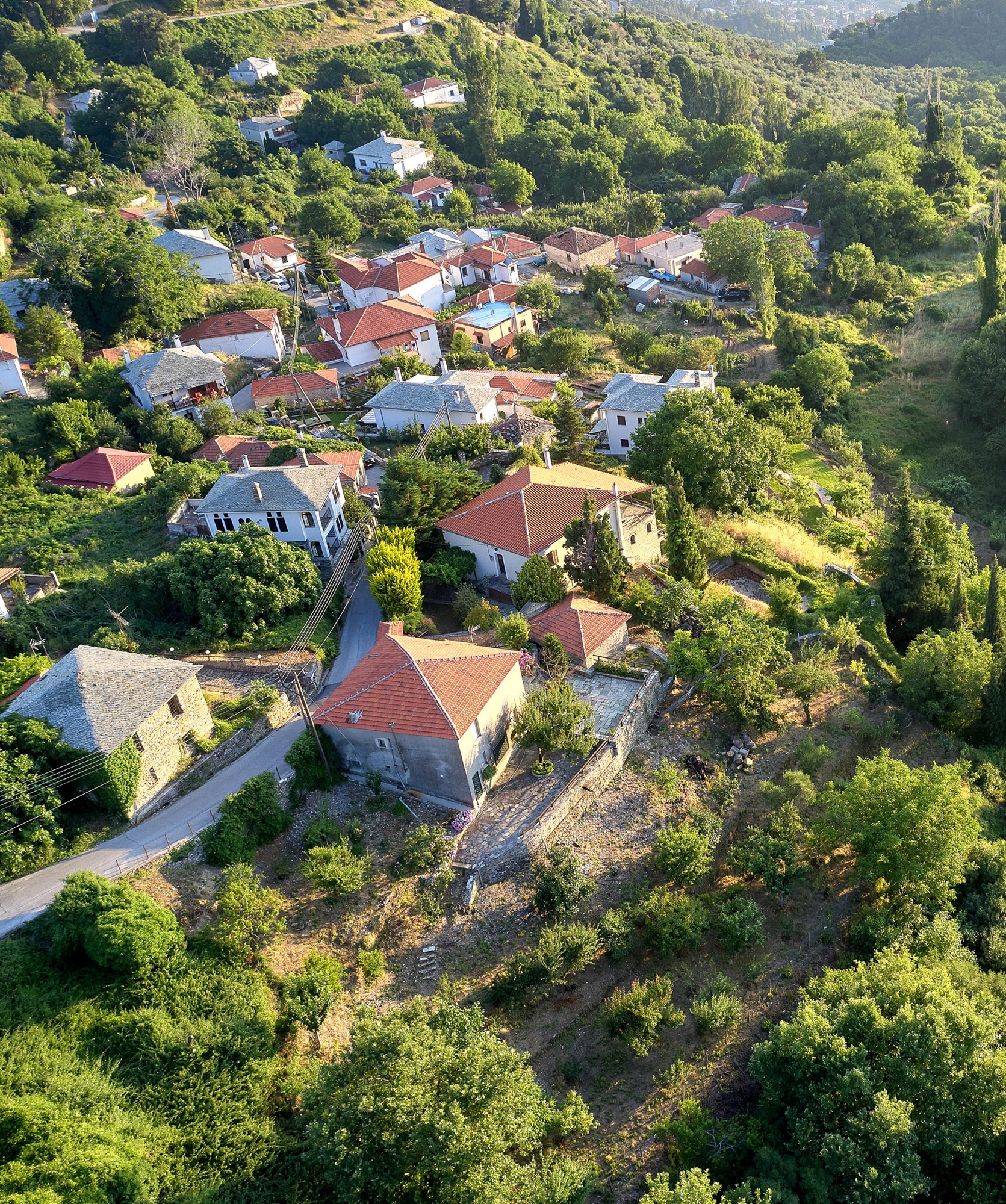 πήλιο-μελέτη-για-τα-όρια-105-οικισμών-561874333