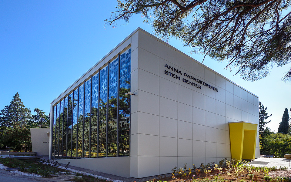 ελληνικός-χρυσός-με-το-βλέμμα-στραμμέ-561869173