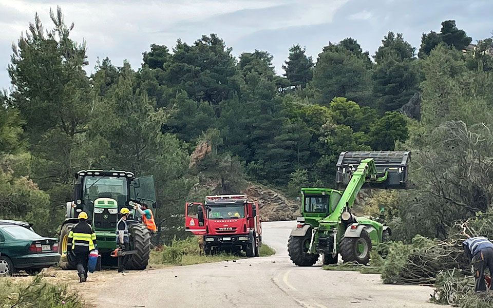 αντιπυρική-προστασία-590-δασοκομάντος-κ-561865426