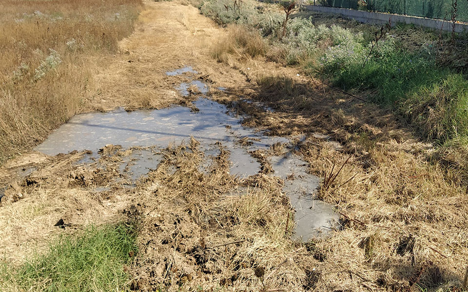 θεσσαλονίκη-χειροπέδες-σε-πατέρα-και-561857143