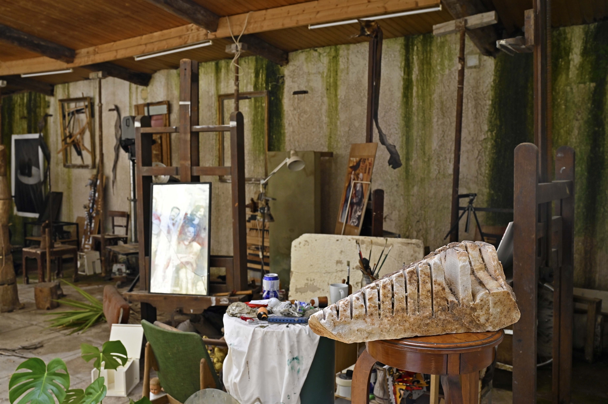 ο-αμαζόνιος-βρίσκεται-στο-μαρούσι-561843334