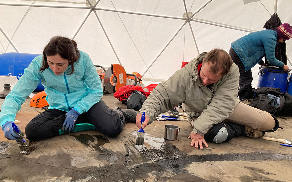 εντυπωσιακό-απολίθωμα-έγκυου-ιχθυόσ-561853840