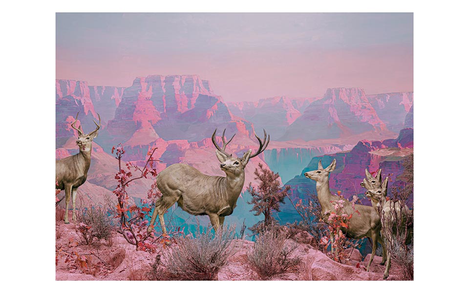 η-εποχή-της-μοναξιάς-δεν-είναι-όσο-μακρ-561865276