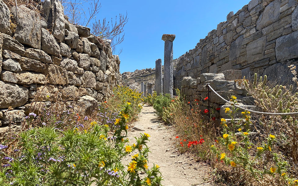 Μουσική με πανανθρώπινο μήνυμα στο ιερό νησί του Απόλλωνα-1
