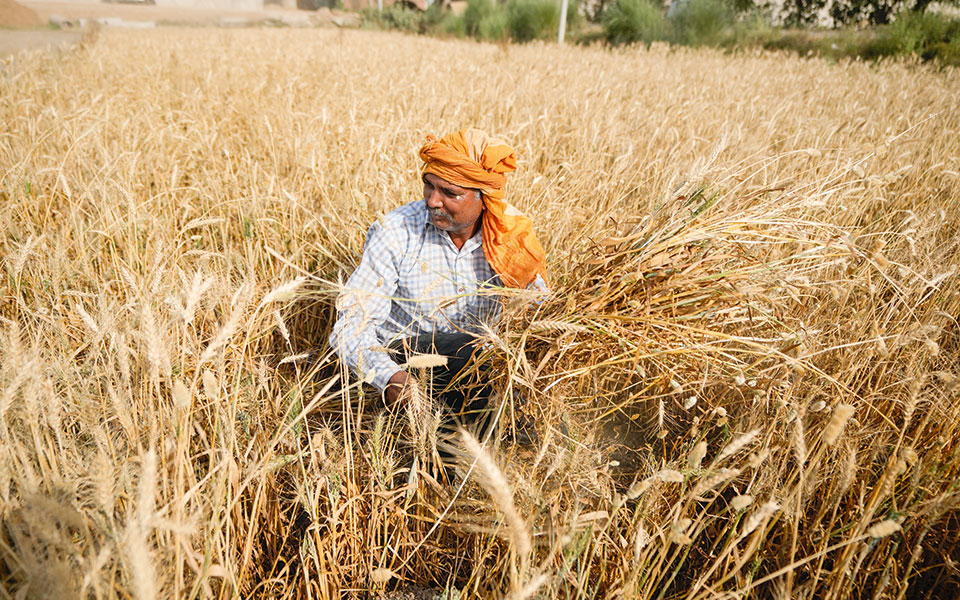 aπαγορευτικό-σε-εξαγωγές-τροφίμων-από-30-561878965