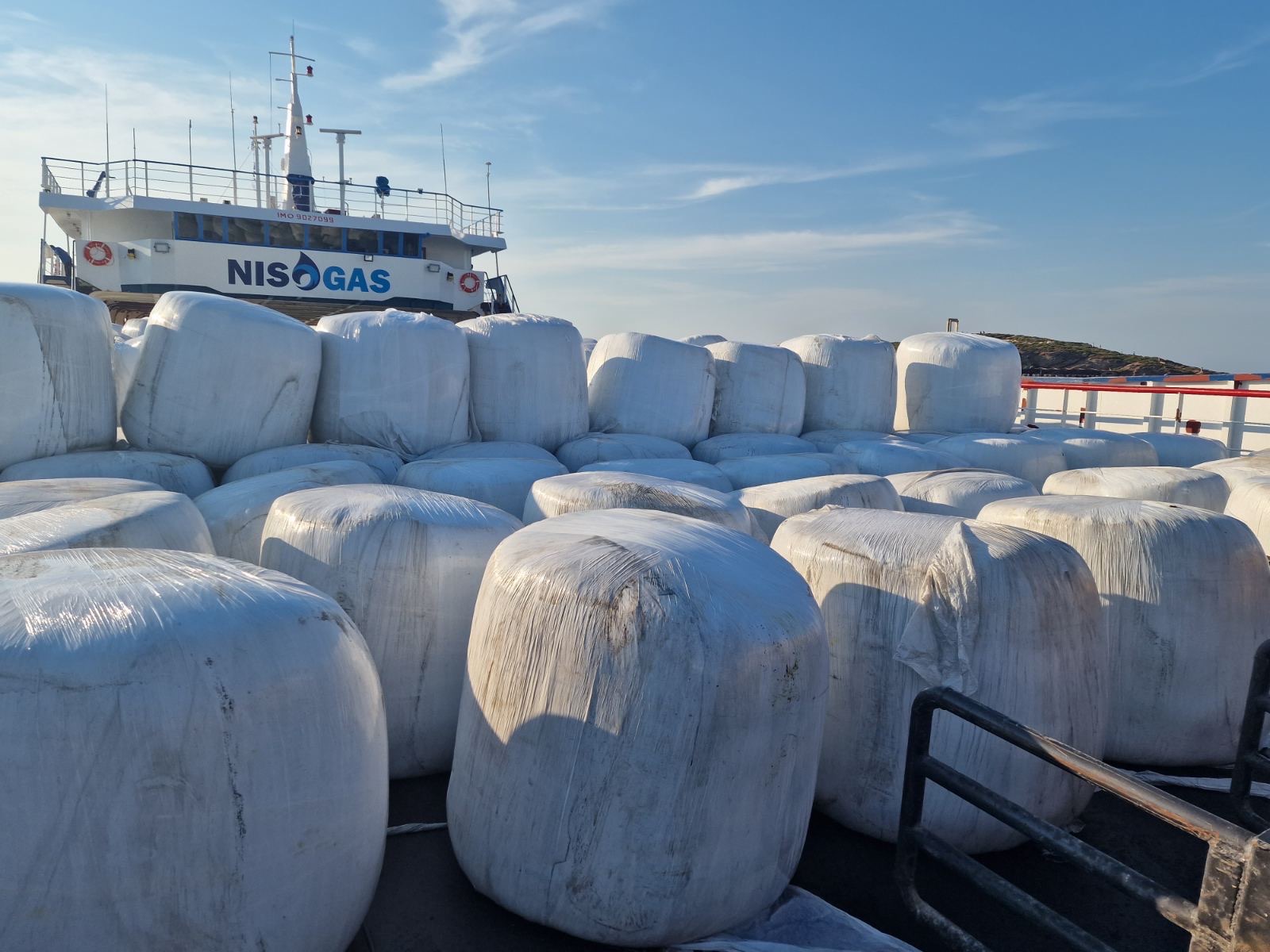 Νάξος: Ξεμένει από γραβιέρα – SOS από τους κτηνοτρόφους-2