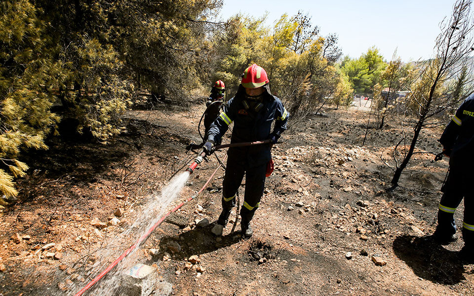 φωτιά-σε-δασική-έκταση-στη-χαλκιδική-561857818