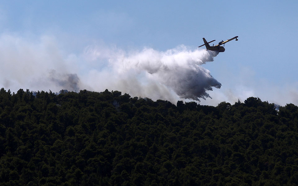 σε-εξέλιξη-φωτιά-στο-κάστρο-βοιωτίας-561869620