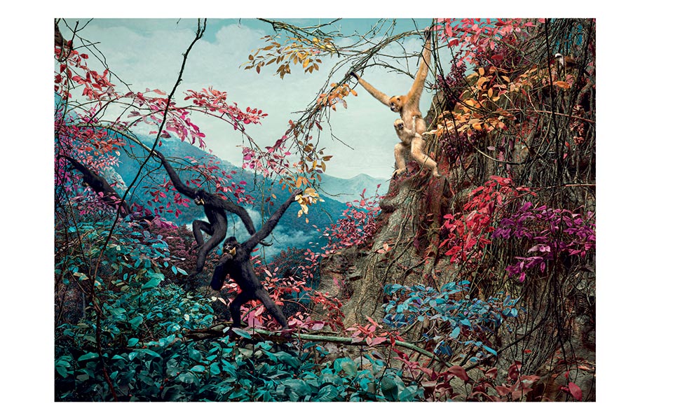 Η εποχή της μοναξιάς δεν είναι όσο μακριά πιστεύουμε-4