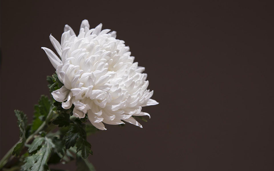 γρεβενά-σήμερα-η-κηδεία-του-28χρονου-πο-561843862