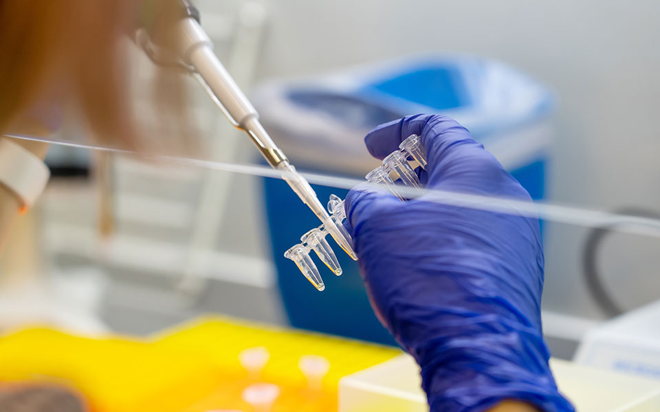 ευλογιά-των-πιθήκων-ανεμοβλογιά-δείχ-561873022