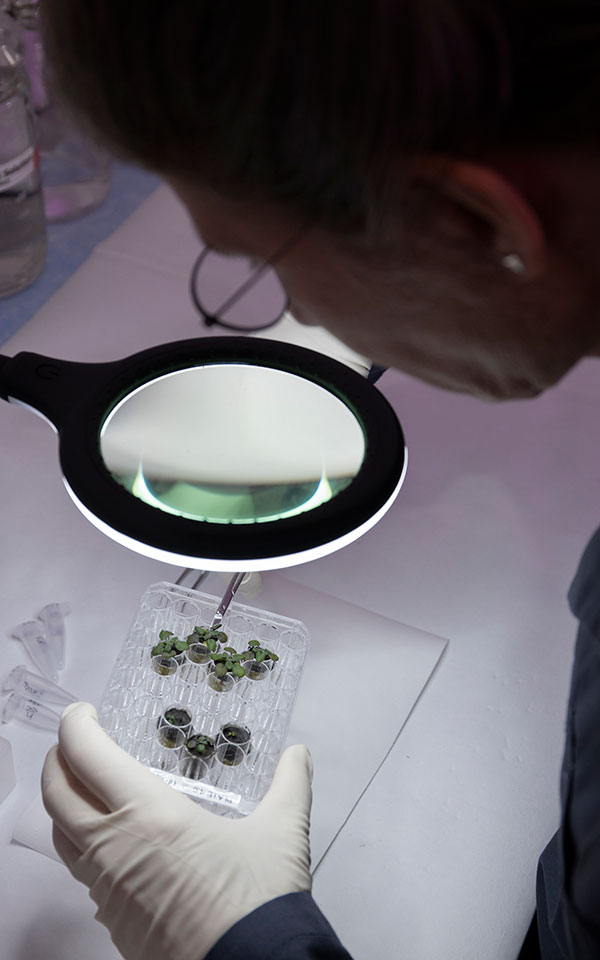 Διάστημα: Επιστήμονες μεγάλωσαν στη Γη τα πρώτα φυτά σε χώμα από τη Σελήνη (βίντεο – εικόνες)-1