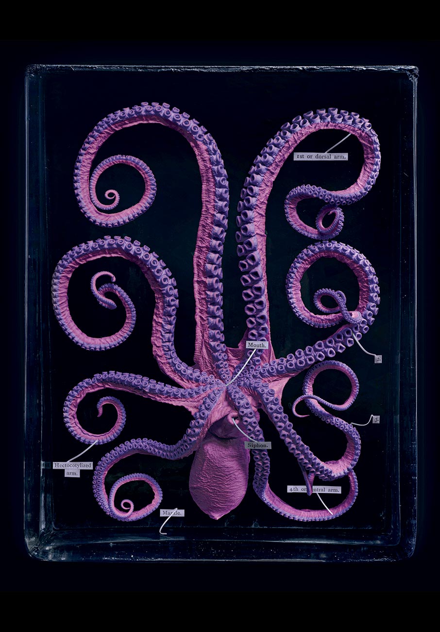 Η εποχή της μοναξιάς δεν είναι όσο μακριά πιστεύουμε-3