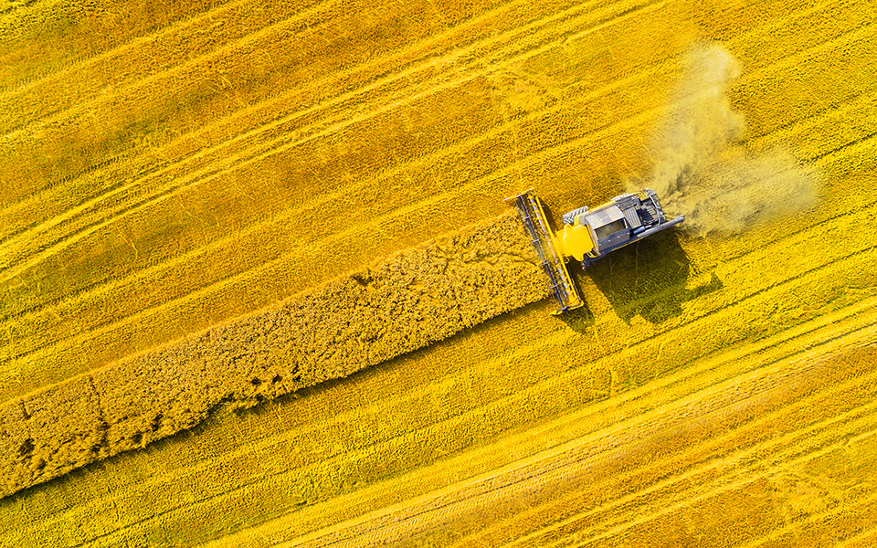 στα-χέρια-του-σδοε-η-μαφία-των-σιτηρών-561880984