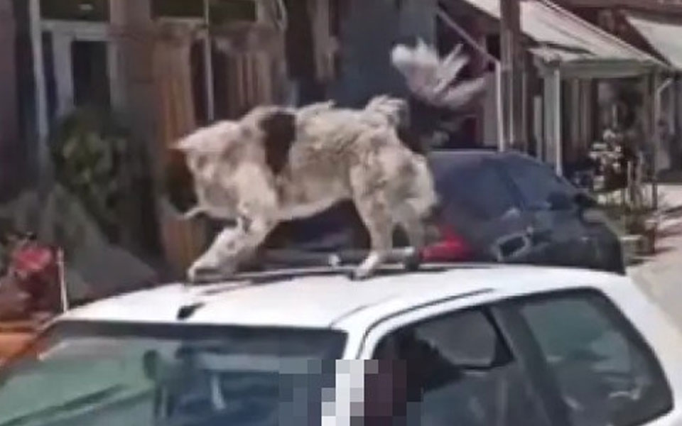 καρδίτσα-χειροπέδες-στον-άνδρα-που-αν-561856885