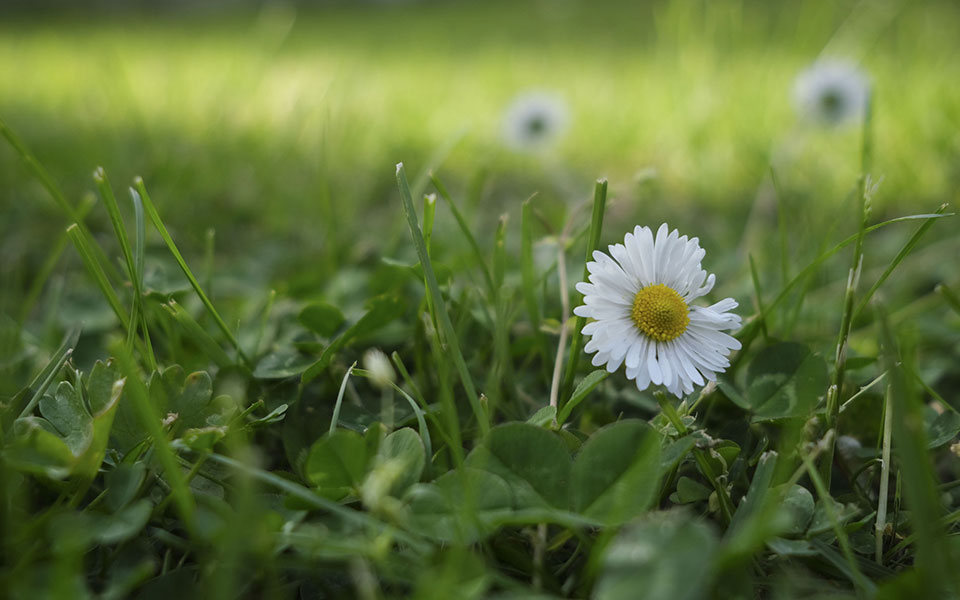 καιρός-αύριο-σε-άνοδο-η-θερμοκρασία-561841015