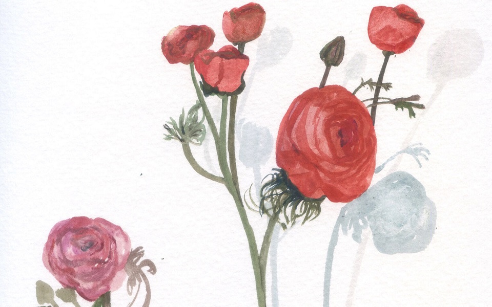 tον-μάιο-οι-ψυχές-κάθονται-πάνω-στα-βλασ-561836038