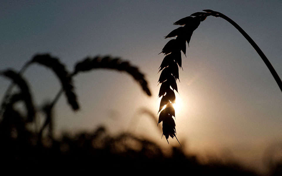 πόλεμος-στην-ουκρανία-βρετανία-ζητε-561877645