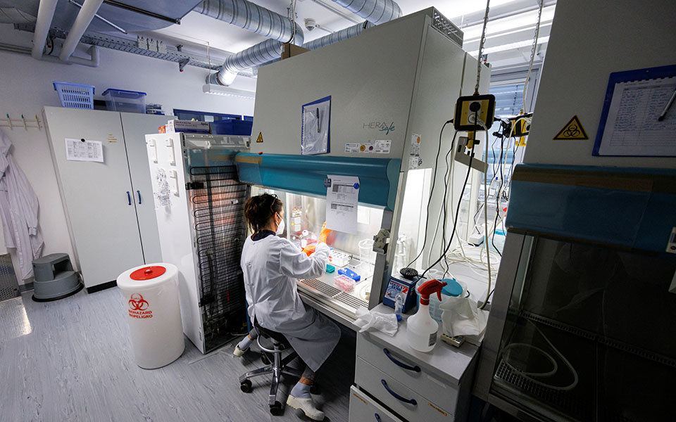 που-η-ευλογιά-των-πιθήκων-μπορεί-να-ανα-561881149